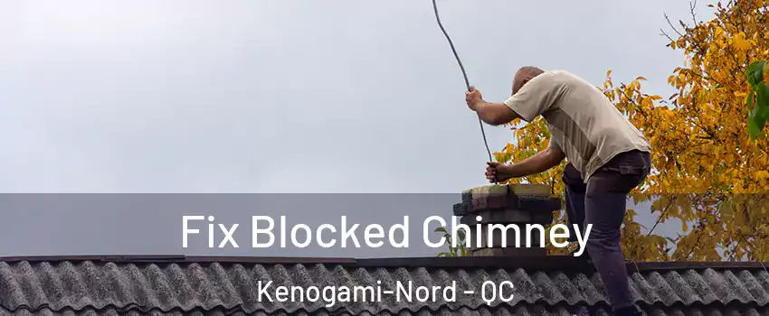  Fix Blocked Chimney Kenogami-Nord - QC