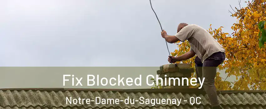  Fix Blocked Chimney Notre-Dame-du-Saguenay - QC
