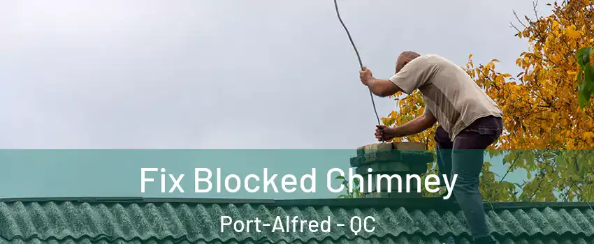  Fix Blocked Chimney Port-Alfred - QC