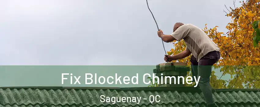  Fix Blocked Chimney Saguenay - QC