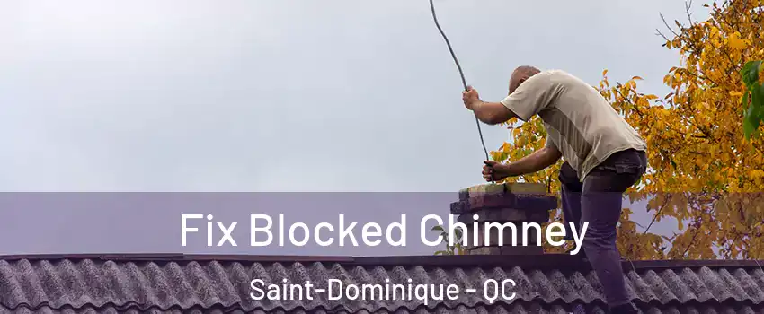  Fix Blocked Chimney Saint-Dominique - QC