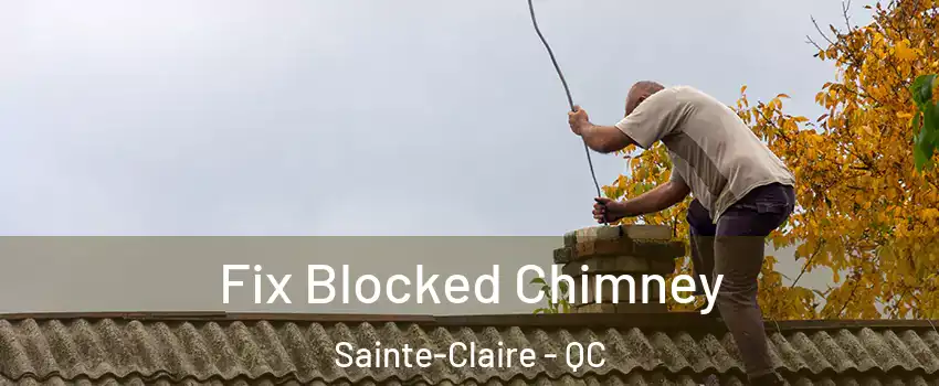  Fix Blocked Chimney Sainte-Claire - QC