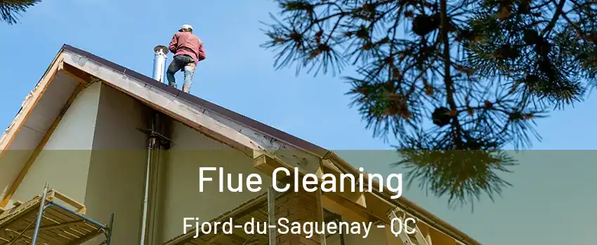  Flue Cleaning Fjord-du-Saguenay - QC