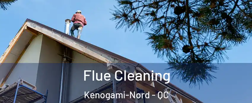  Flue Cleaning Kenogami-Nord - QC