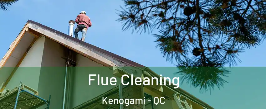  Flue Cleaning Kenogami - QC