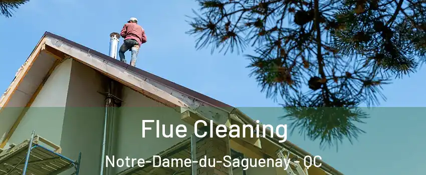  Flue Cleaning Notre-Dame-du-Saguenay - QC