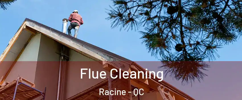  Flue Cleaning Racine - QC