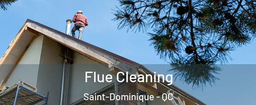  Flue Cleaning Saint-Dominique - QC