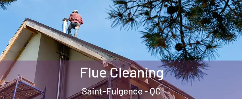  Flue Cleaning Saint-Fulgence - QC