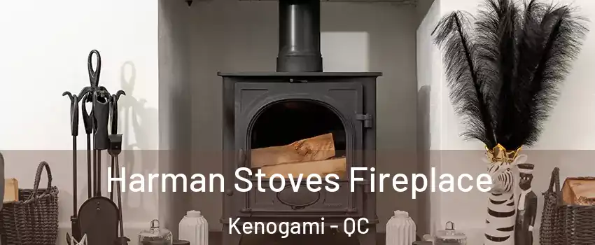  Harman Stoves Fireplace Kenogami - QC