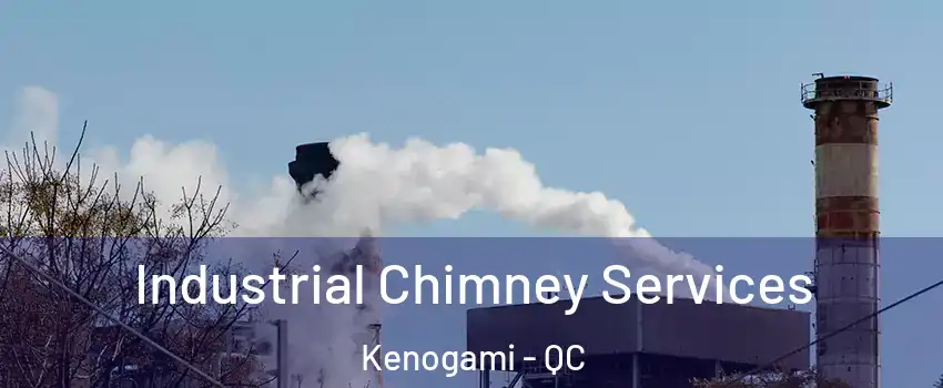  Industrial Chimney Services Kenogami - QC