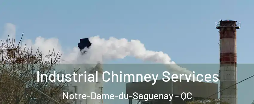  Industrial Chimney Services Notre-Dame-du-Saguenay - QC