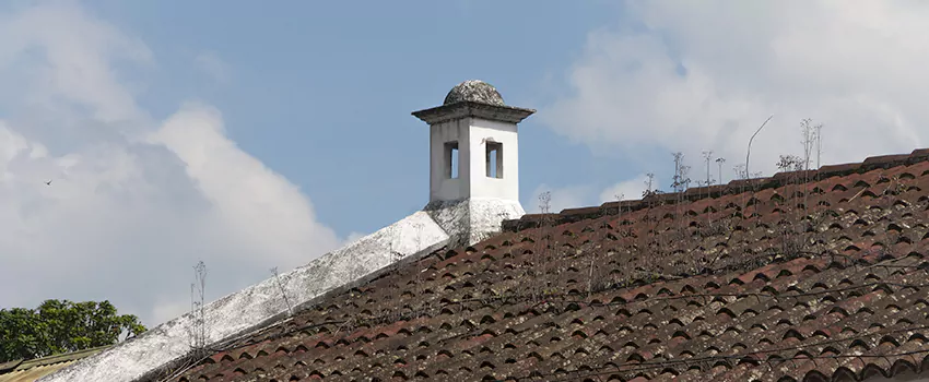 Wind-Resistant Chimney Caps Installation and Repair Services in Racine, Quebec