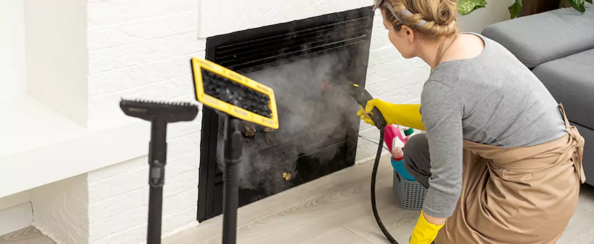 Fireplace Doors Cleaning in Racine, Quebec