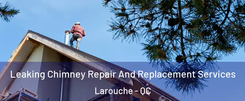  Leaking Chimney Repair And Replacement Services Larouche - QC