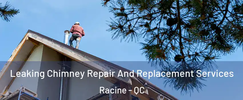  Leaking Chimney Repair And Replacement Services Racine - QC