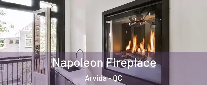  Napoleon Fireplace Arvida - QC