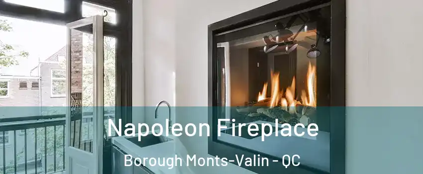  Napoleon Fireplace Borough Monts-Valin - QC