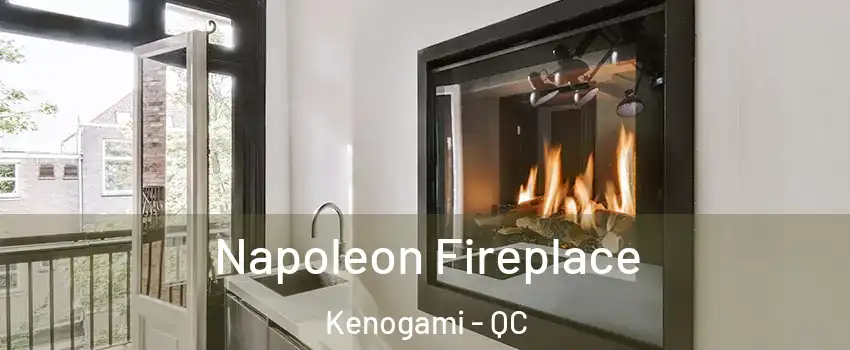  Napoleon Fireplace Kenogami - QC