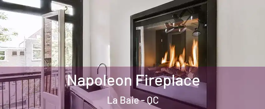  Napoleon Fireplace La Baie - QC