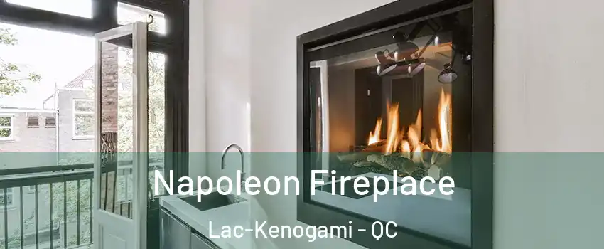  Napoleon Fireplace Lac-Kenogami - QC