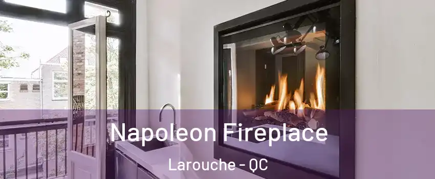  Napoleon Fireplace Larouche - QC