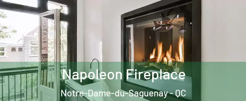  Napoleon Fireplace Notre-Dame-du-Saguenay - QC