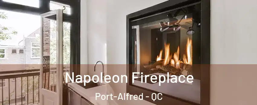  Napoleon Fireplace Port-Alfred - QC