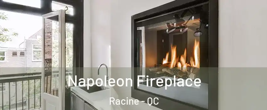  Napoleon Fireplace Racine - QC