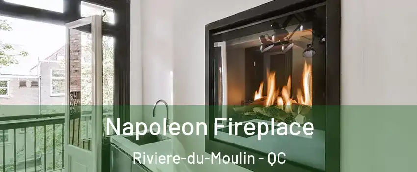  Napoleon Fireplace Riviere-du-Moulin - QC