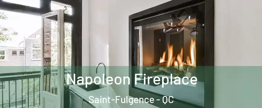  Napoleon Fireplace Saint-Fulgence - QC