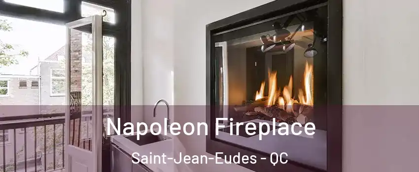  Napoleon Fireplace Saint-Jean-Eudes - QC