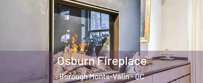  Osburn Fireplace Borough Monts-Valin - QC