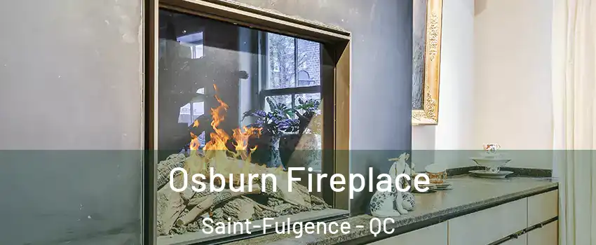  Osburn Fireplace Saint-Fulgence - QC