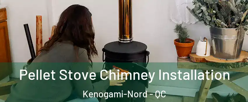  Pellet Stove Chimney Installation Kenogami-Nord - QC