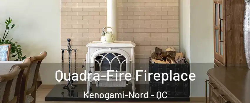  Quadra-Fire Fireplace Kenogami-Nord - QC