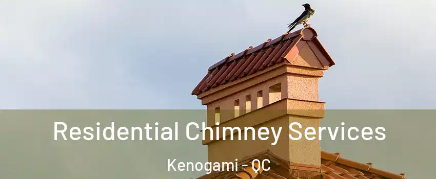  Residential Chimney Services Kenogami - QC