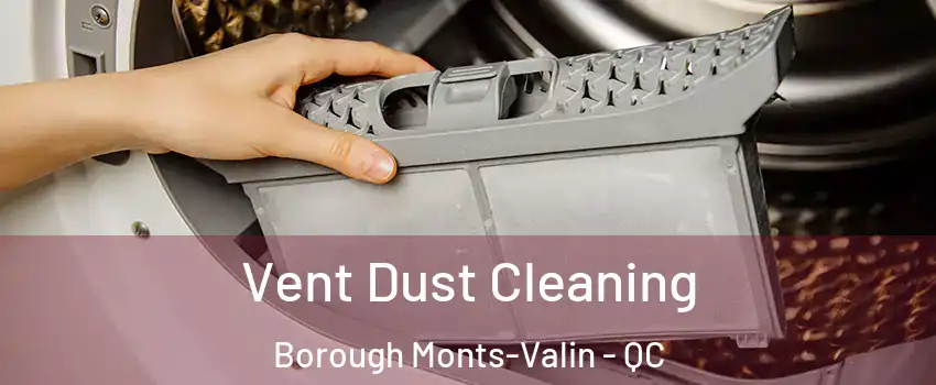  Vent Dust Cleaning Borough Monts-Valin - QC
