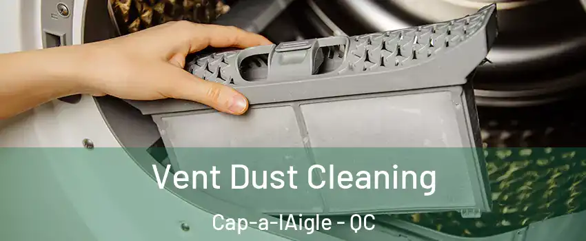  Vent Dust Cleaning Cap-a-lAigle - QC