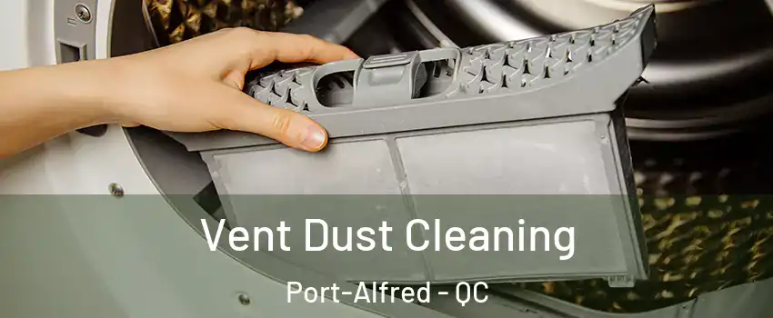  Vent Dust Cleaning Port-Alfred - QC
