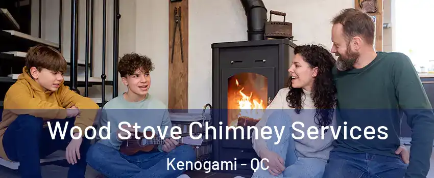  Wood Stove Chimney Services Kenogami - QC