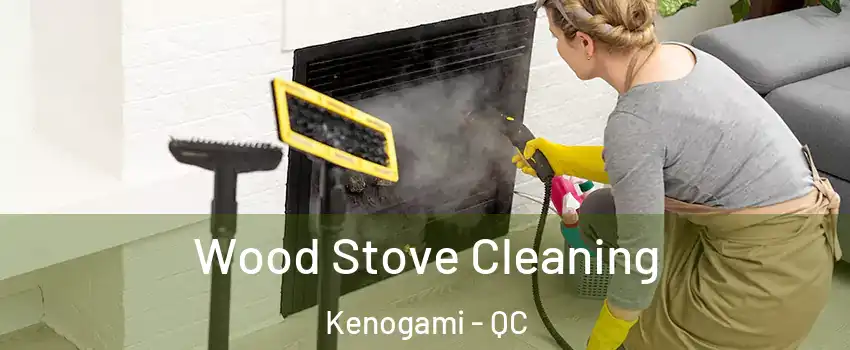  Wood Stove Cleaning Kenogami - QC