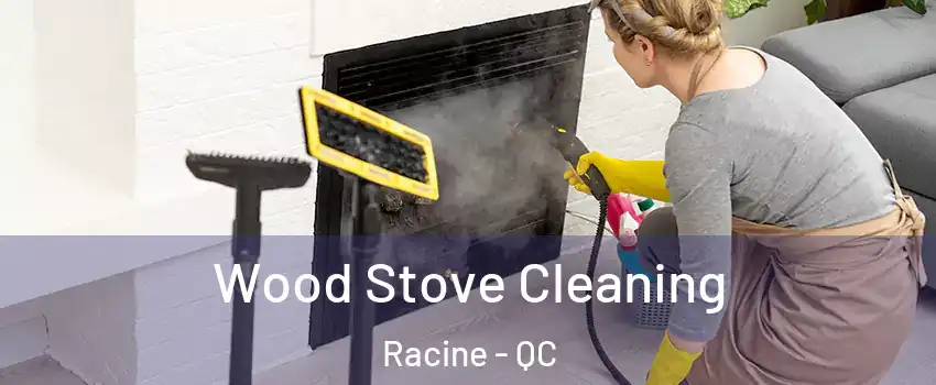  Wood Stove Cleaning Racine - QC
