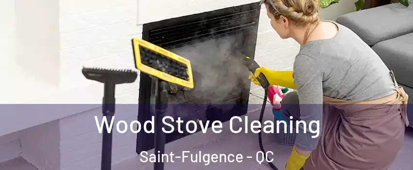  Wood Stove Cleaning Saint-Fulgence - QC