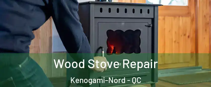  Wood Stove Repair Kenogami-Nord - QC
